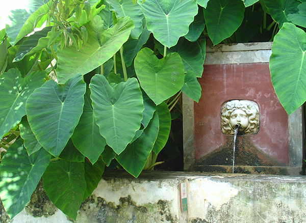 Giardino della Minerva