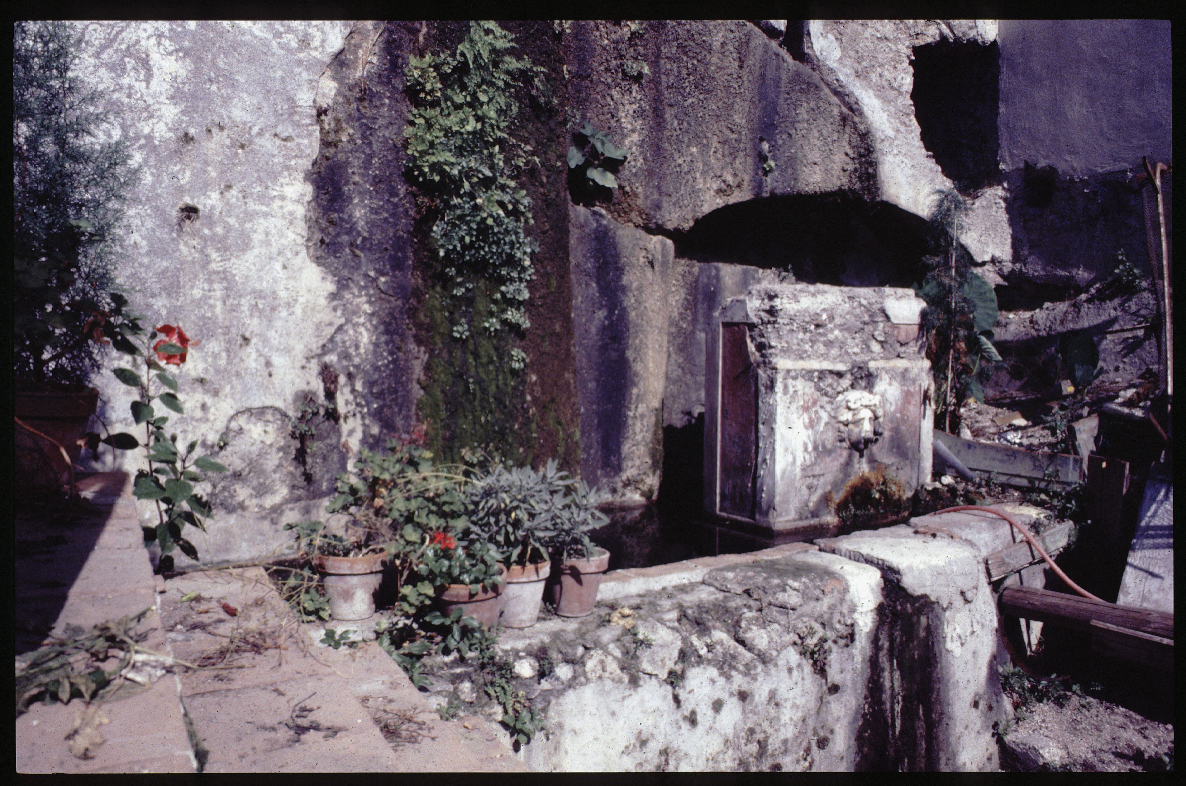 Giardino della Minerva